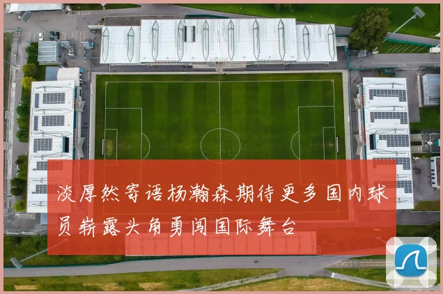 淡厚然寄语杨瀚森期待更多国内球员崭露头角勇闯国际舞台