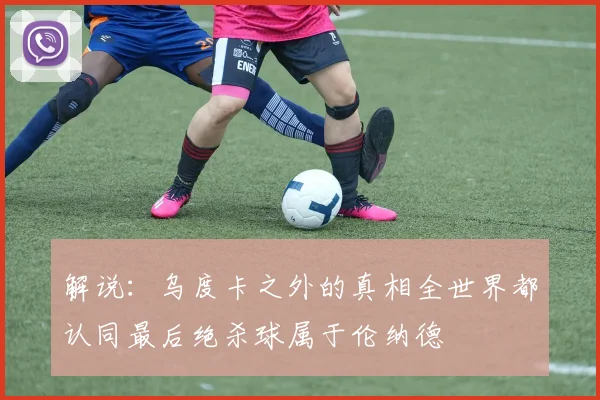 解说：乌度卡之外的真相全世界都认同最后绝杀球属于伦纳德